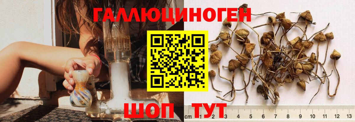 Галлюциногенные грибы мицелий  Вход с VPN  Вышний Волочёк 