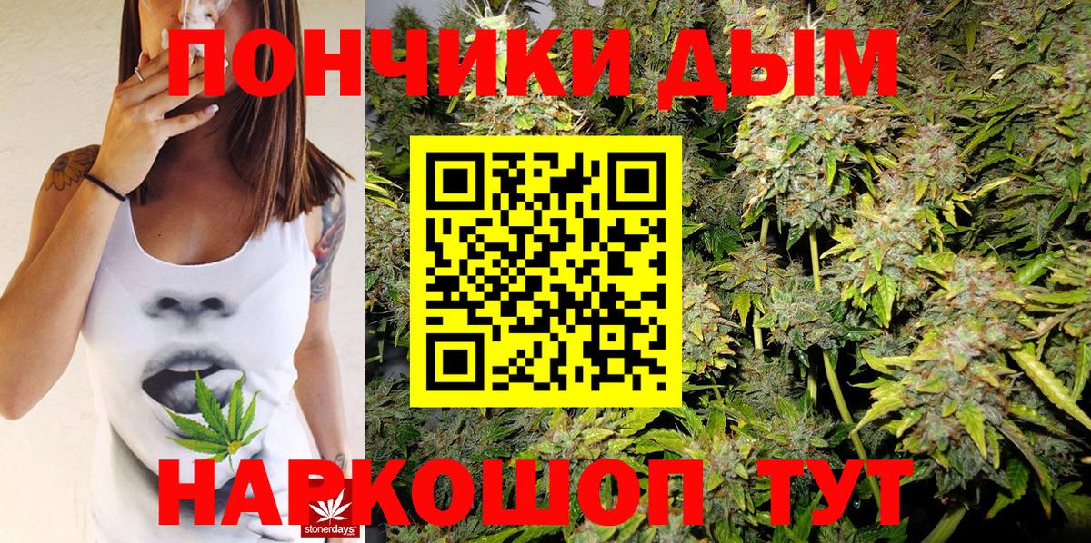 Марихуана OG Kush Вышний Волочёк